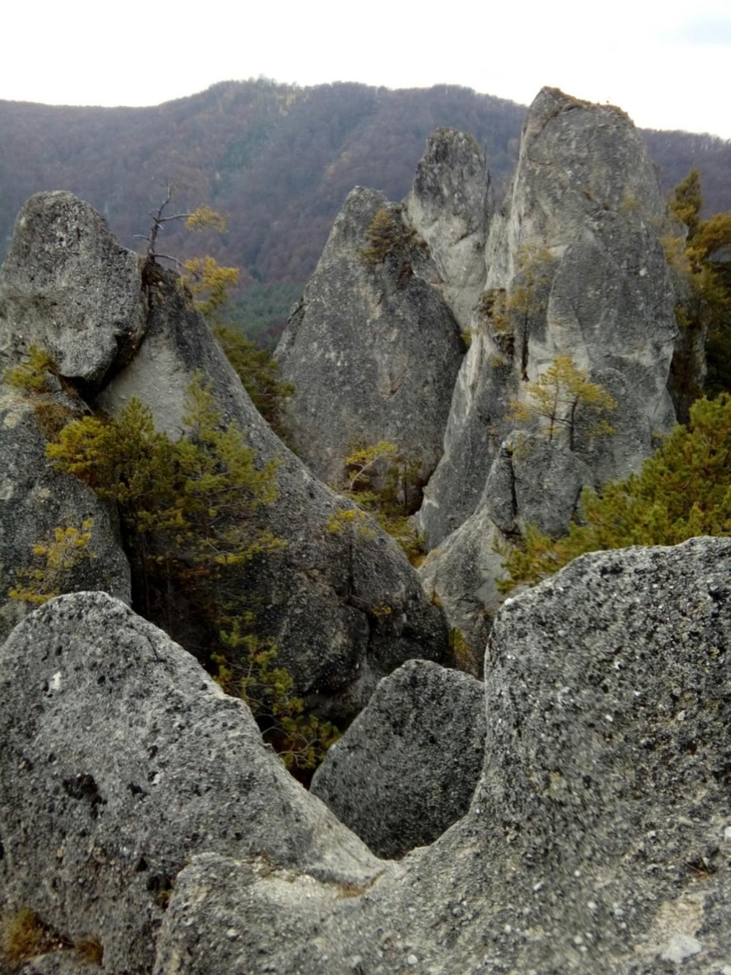 Castle Kastiel Kotesova Apartman Kültér fotó